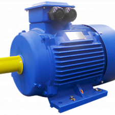 250/1000 АМ 355MB6 исп. 2081 эл. двигатель